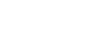vice-logo